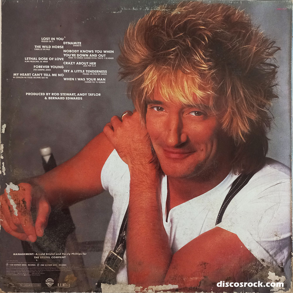 ROD STEWART - Out of Order - Imagen 2
