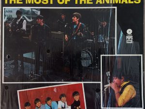 ANIMALS - The Most of the Animals